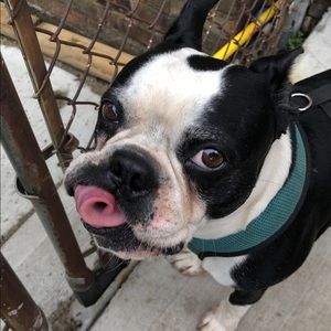 Meet your Posher, Madison